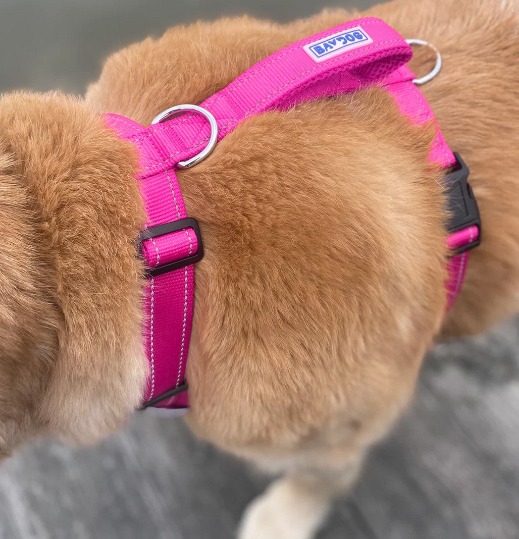 BayDog Chesapeake Harness Pink