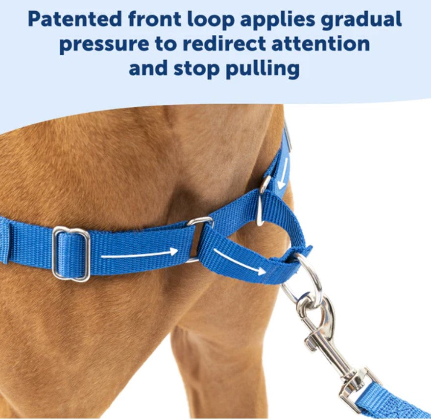 Easy Walk No Pull Harness Red