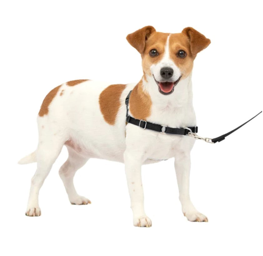 Easy Walk No Pull Harness Black