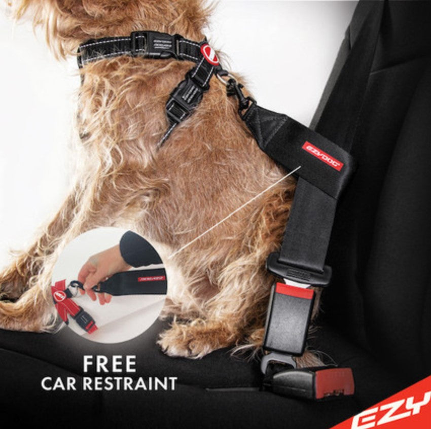 EzyDog Chest Plate Harness Black