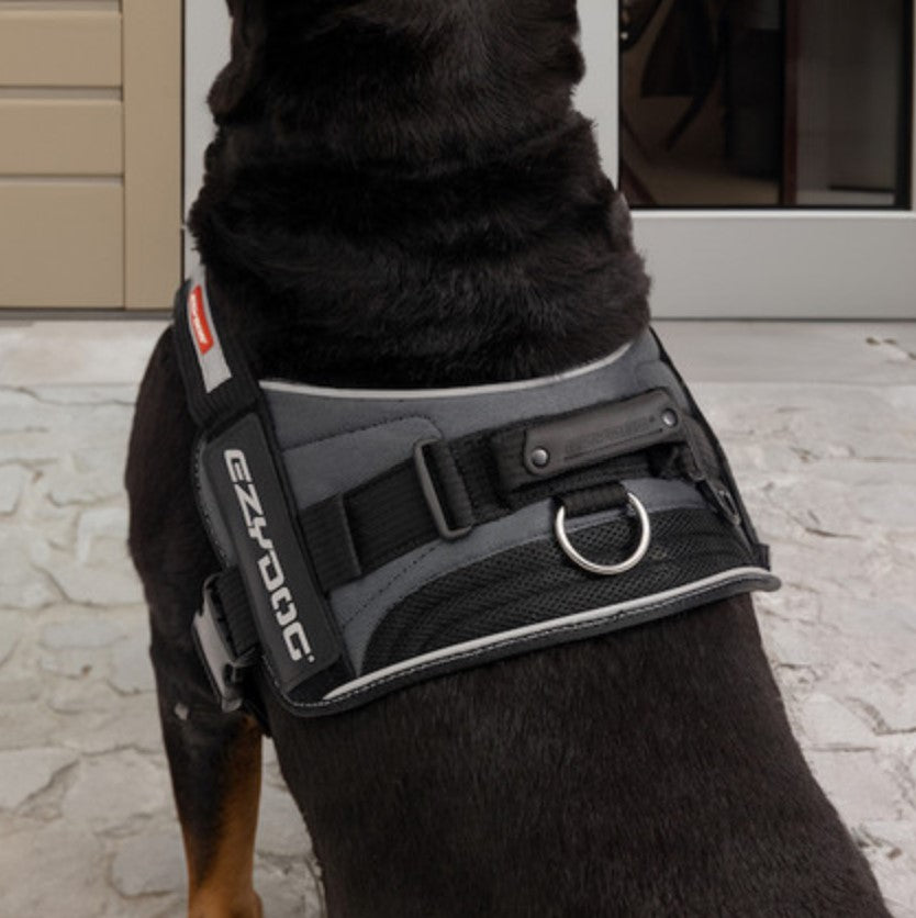 EzyDog Convert Harness Charcoal