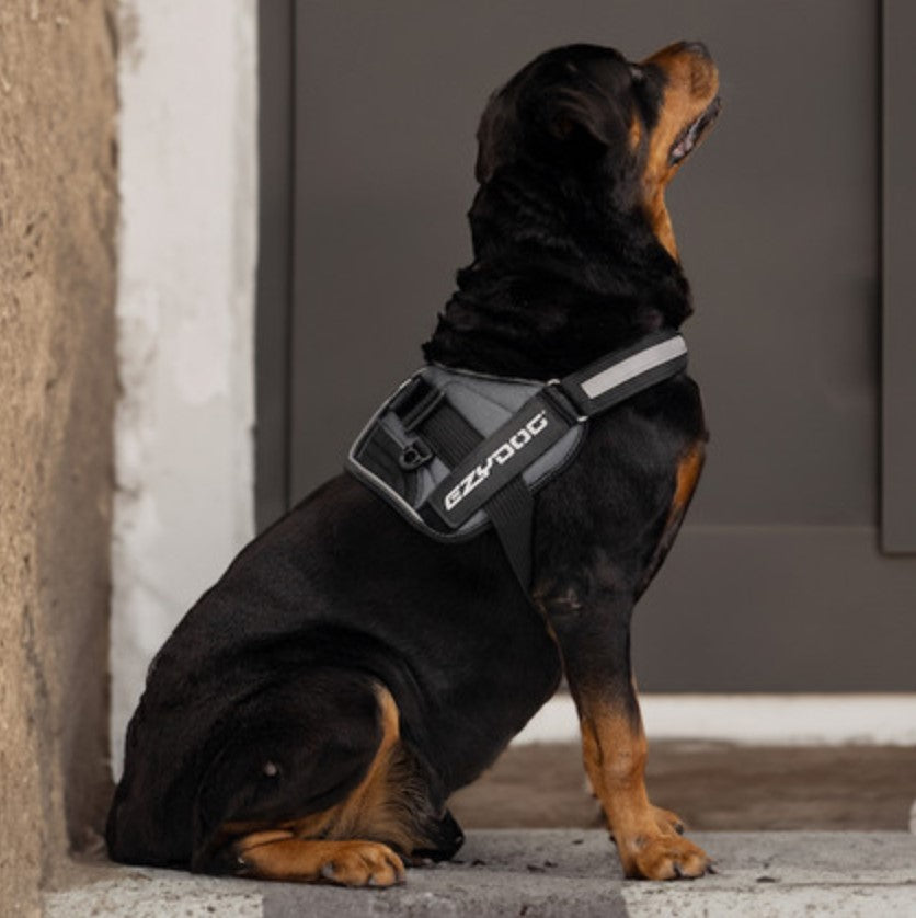 EzyDog Convert Harness Charcoal