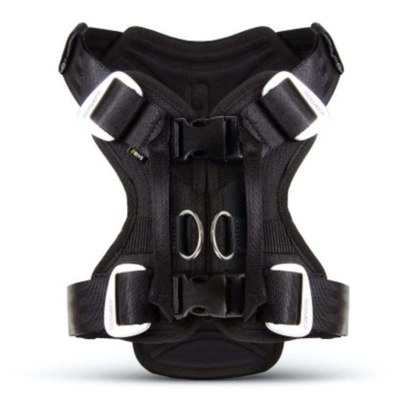 EzyDog Drive Car Harness