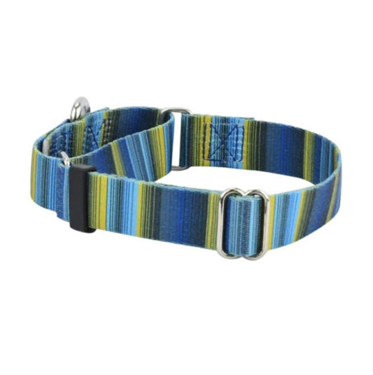 2 Hounds Martingale Collar Clyde