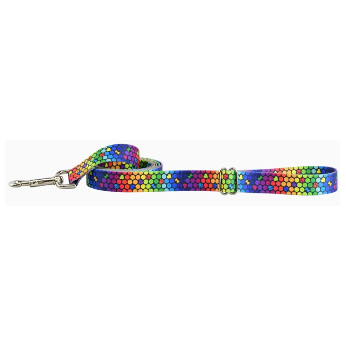 2 Hounds Roy G Biv Leash - USA Made