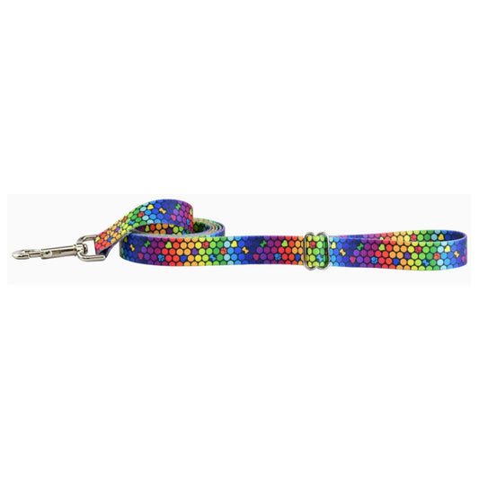 2 Hounds Roy G Biv Leash - USA Made