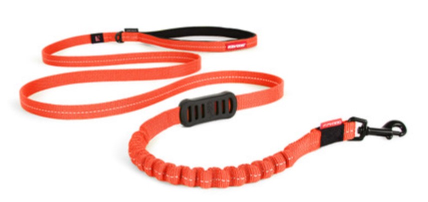 EzyDog Zero Shock 72" Leash Lite - Several Colors Available