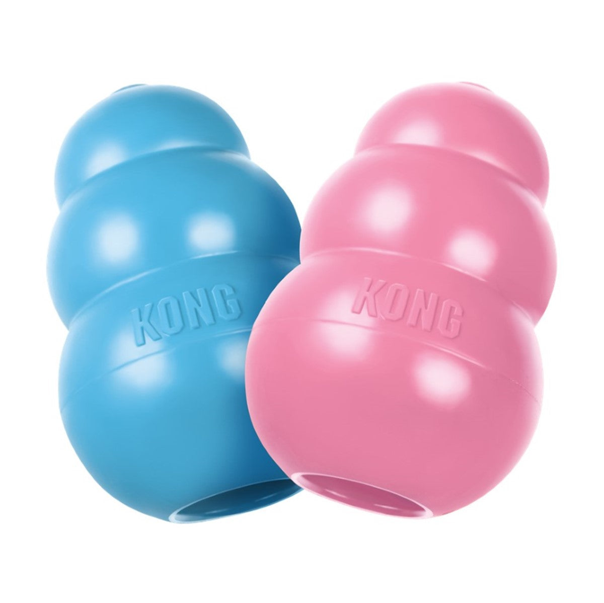 Kong Puppy - Color Varies