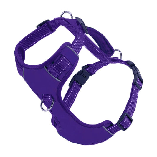BayDog Chesapeake Harness Purple