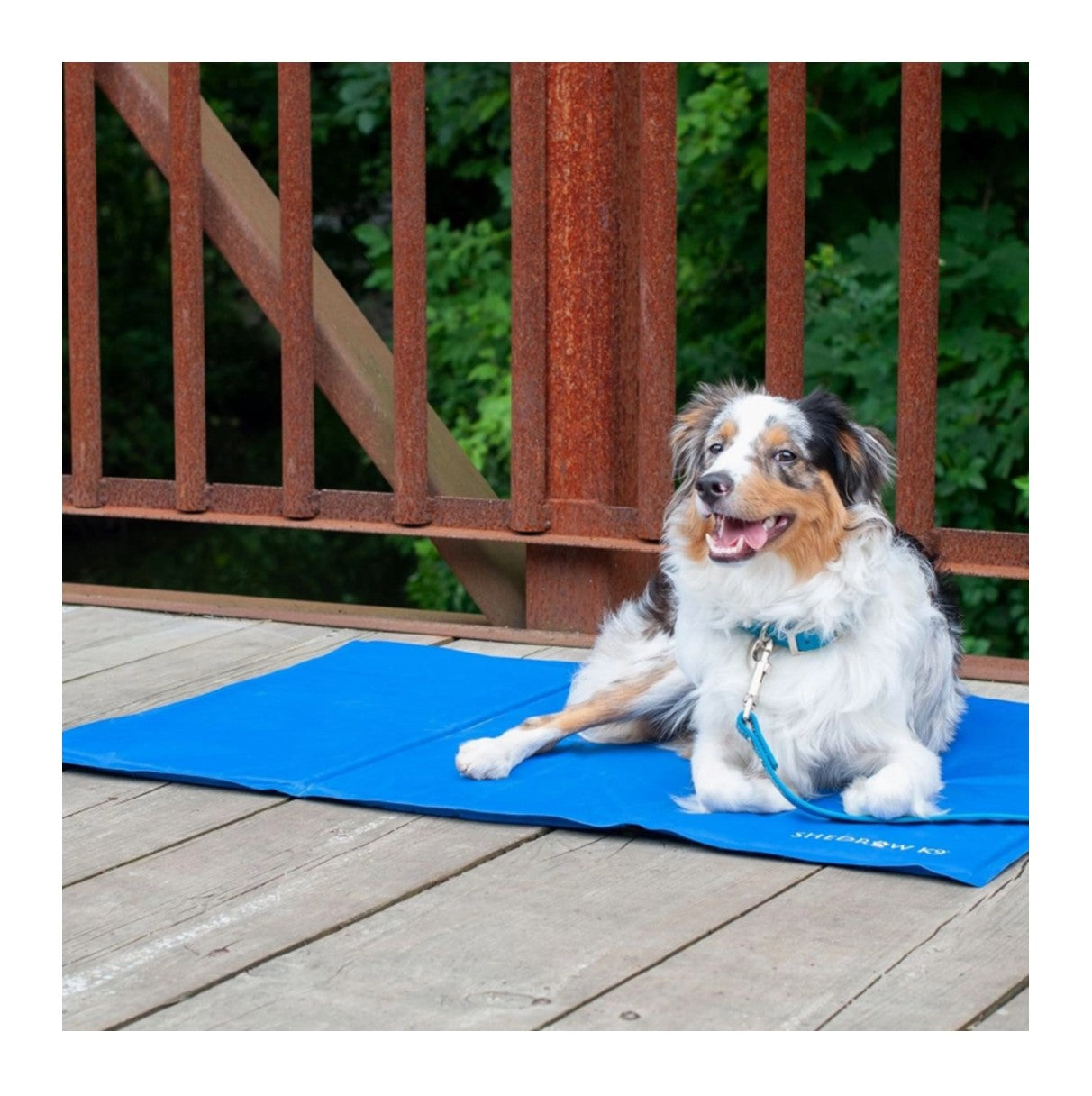 Shedrow K9 Cooling Mat