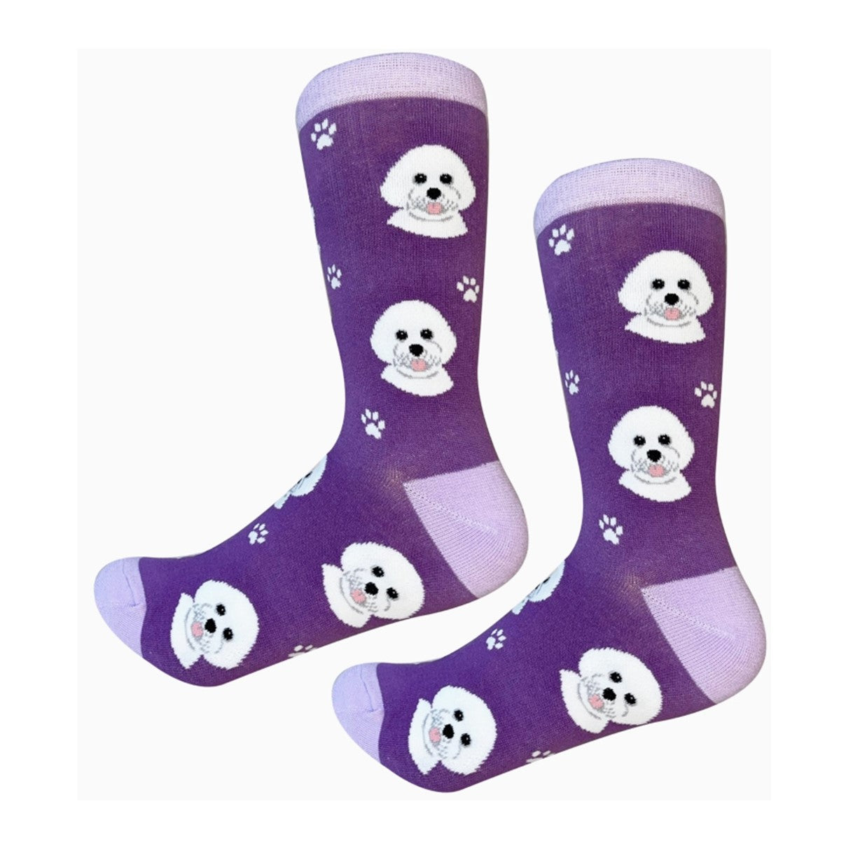 E&S Bichon Frise Socks