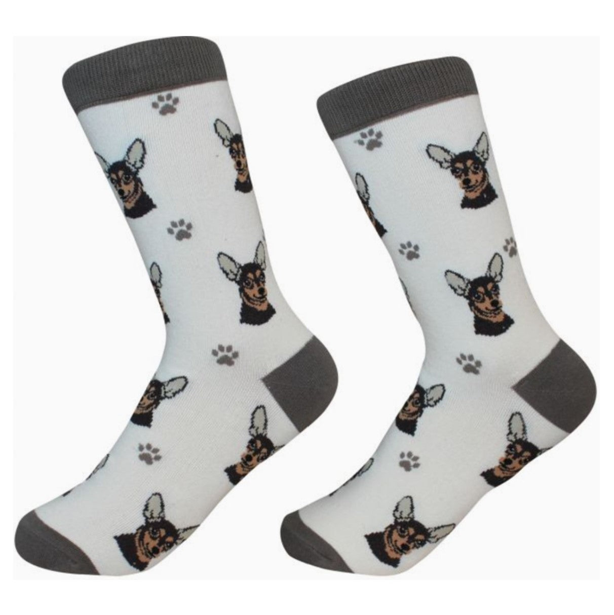 E&S Chihuahua, Black Socks