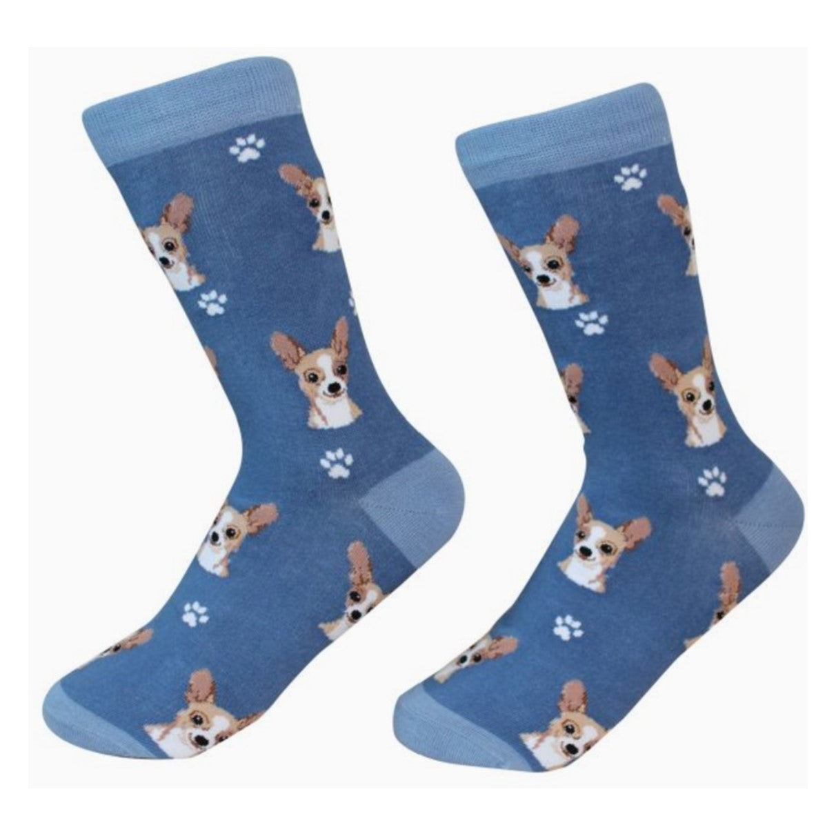 E&S Chihuahua, Fawn Socks