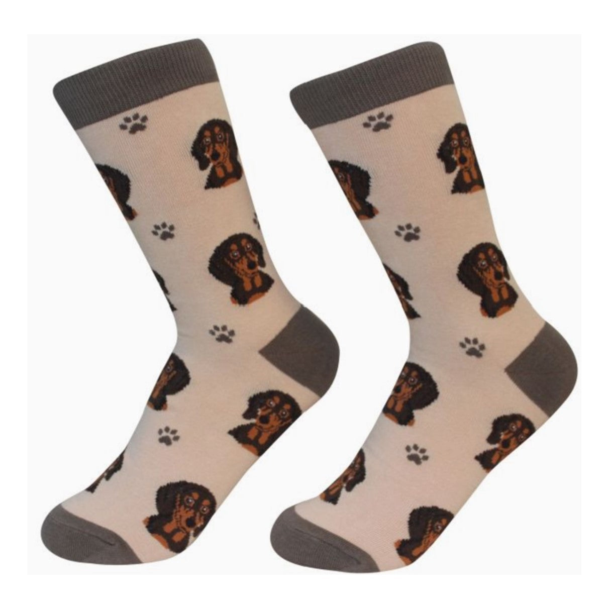 E&S Dachshund, Black Socks