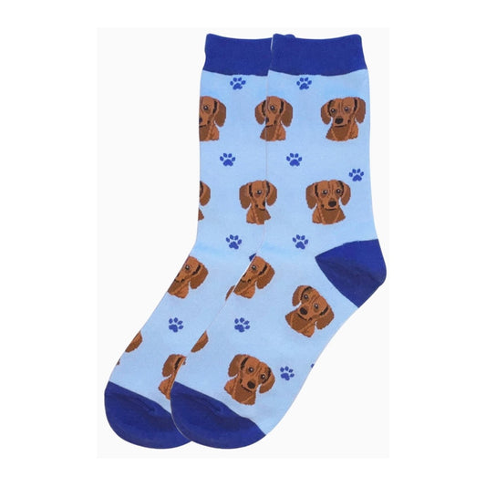 E&S Dachshund, Red Socks