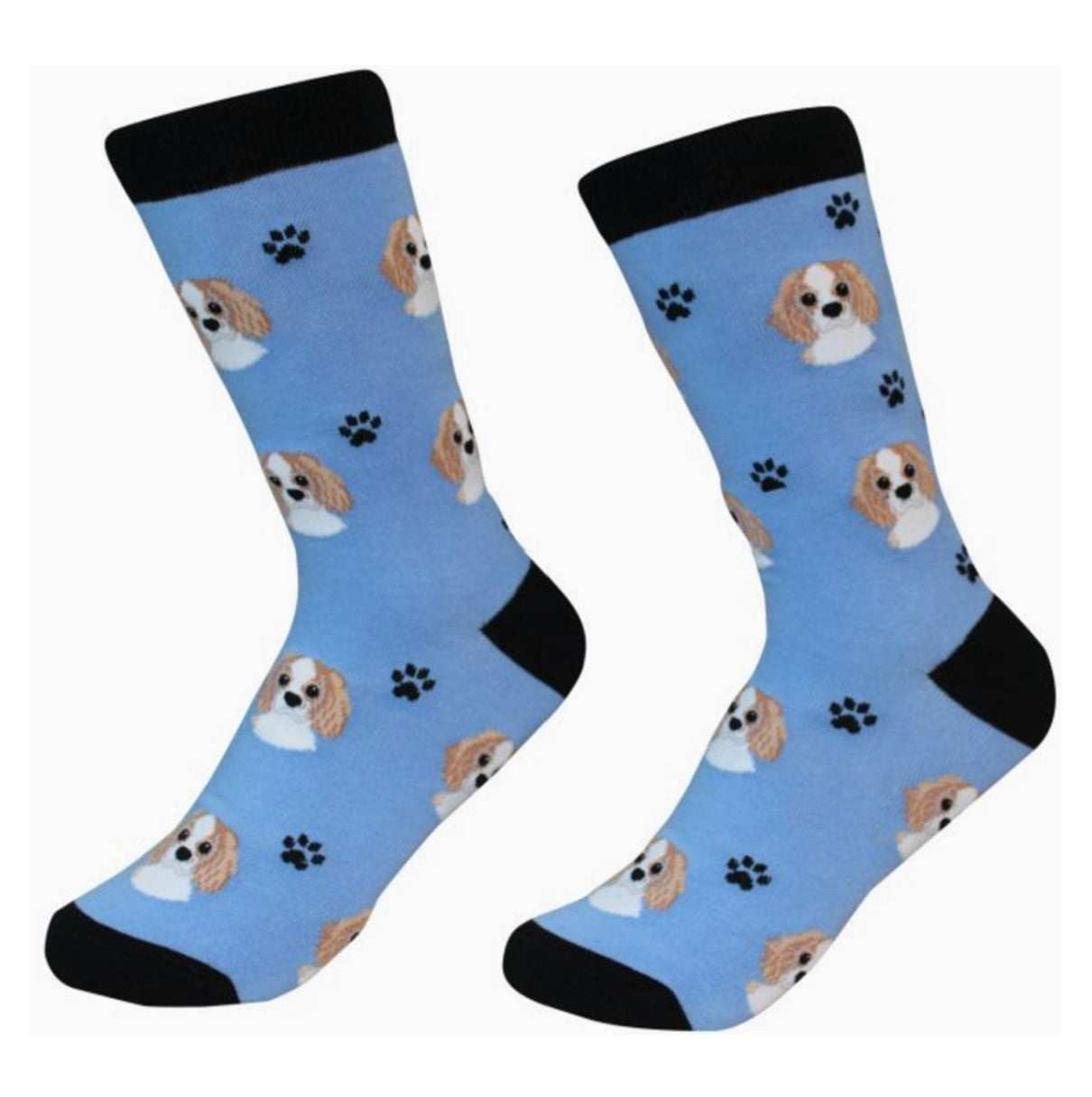 E&S King Charles Cavalier Socks