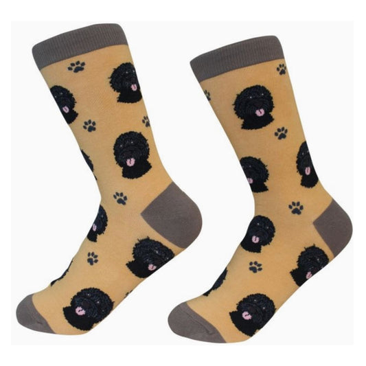 E&S Labradoodle, Black Socks