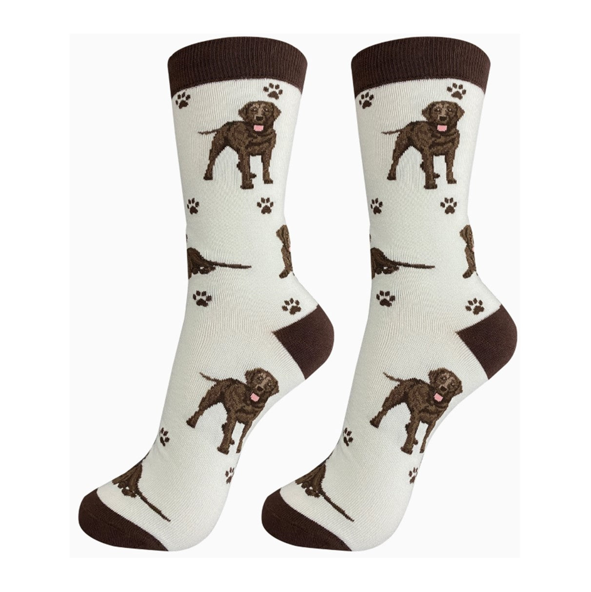 E&S Labrador, Choc FB Socks