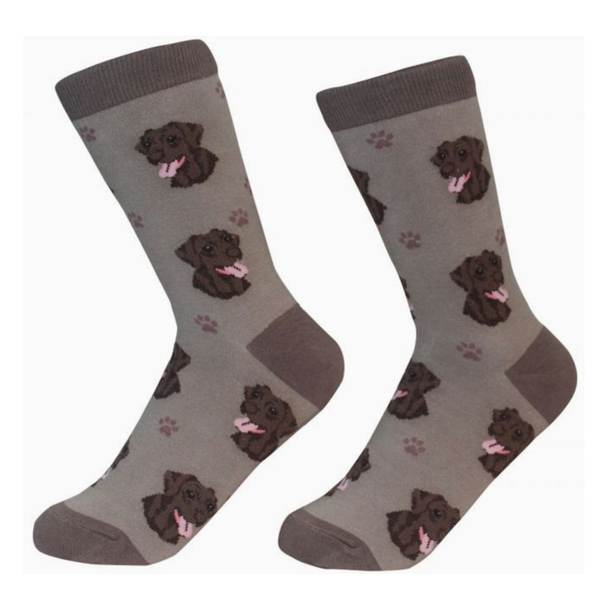 E&S Labrador, Choc Socks