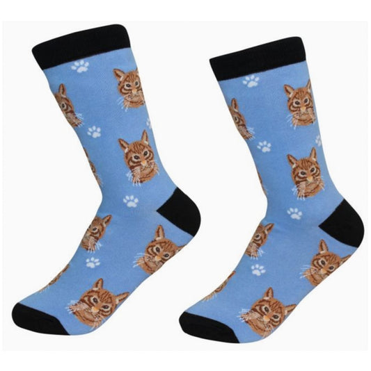 E&S Orange Tabby Cat Socks