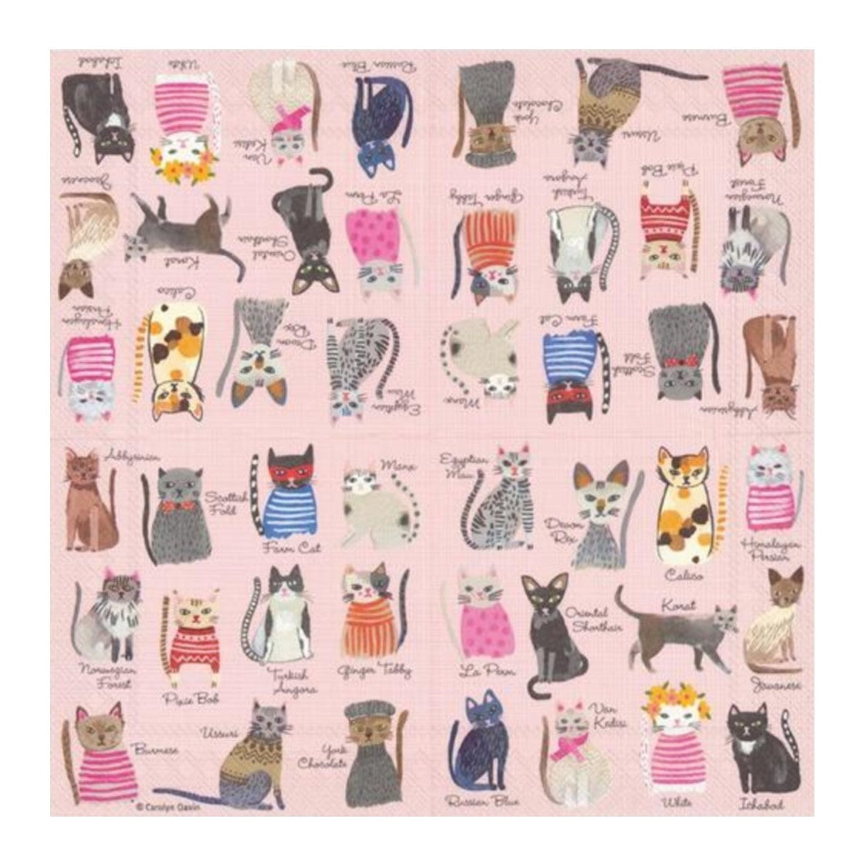 Cool Cats Cocktail Napkins