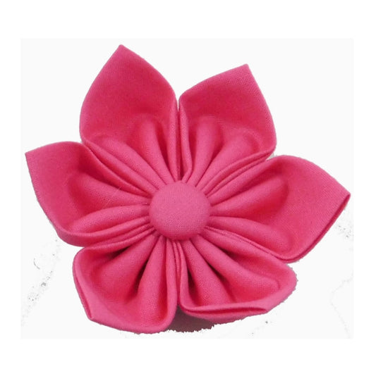 Charlotte's Pink Collar Flower