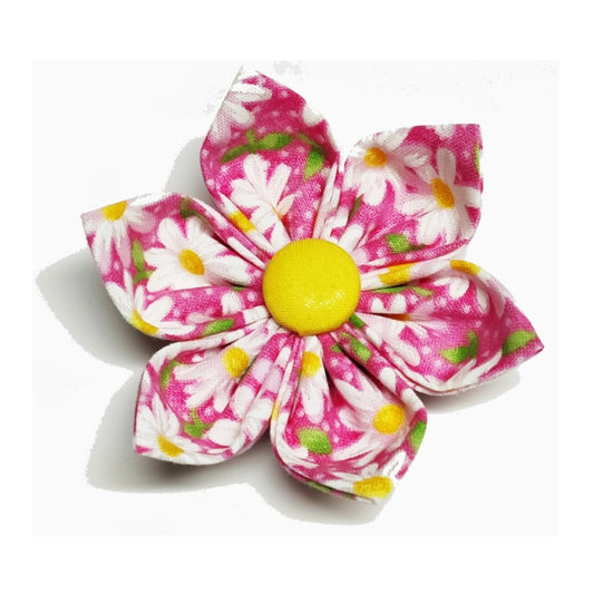 Charlotte's Pink Daisy Collar Flower