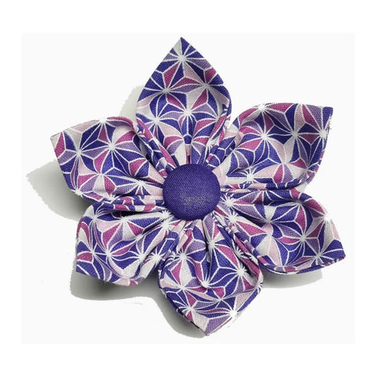 Charlotte's Purple Star Collar Flower