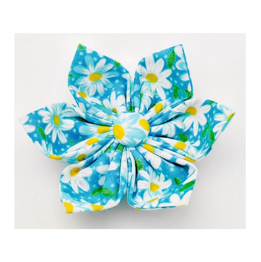 Charlotte's Aqua Daisy Collar Flower