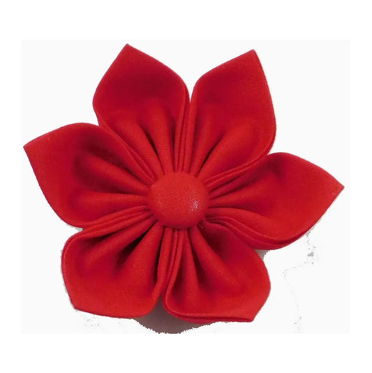 Charlotte's Red Collar Flower