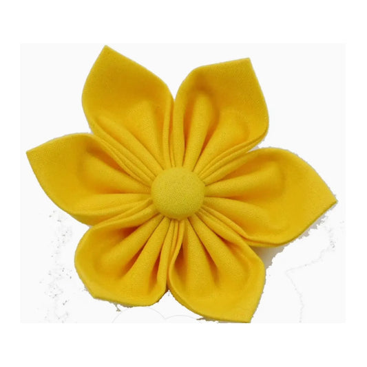 Charlotte's Yellow Collar Flower