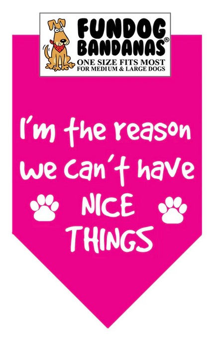 FunDog I'm The Reason We Can't Have Nice Things Bandana - 2 sizes, Several Colors