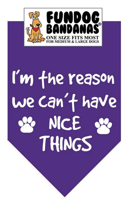 FunDog I'm The Reason We Can't Have Nice Things Bandana - 2 sizes, Several Colors