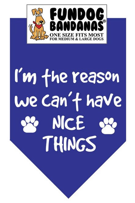 FunDog I'm The Reason We Can't Have Nice Things Bandana - 2 sizes, Several Colors