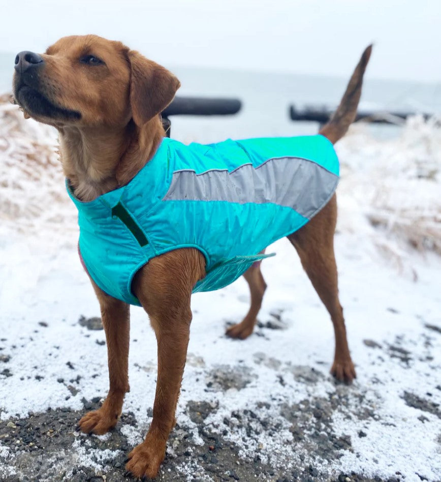 Baydog Saginaw Fleece Aqua