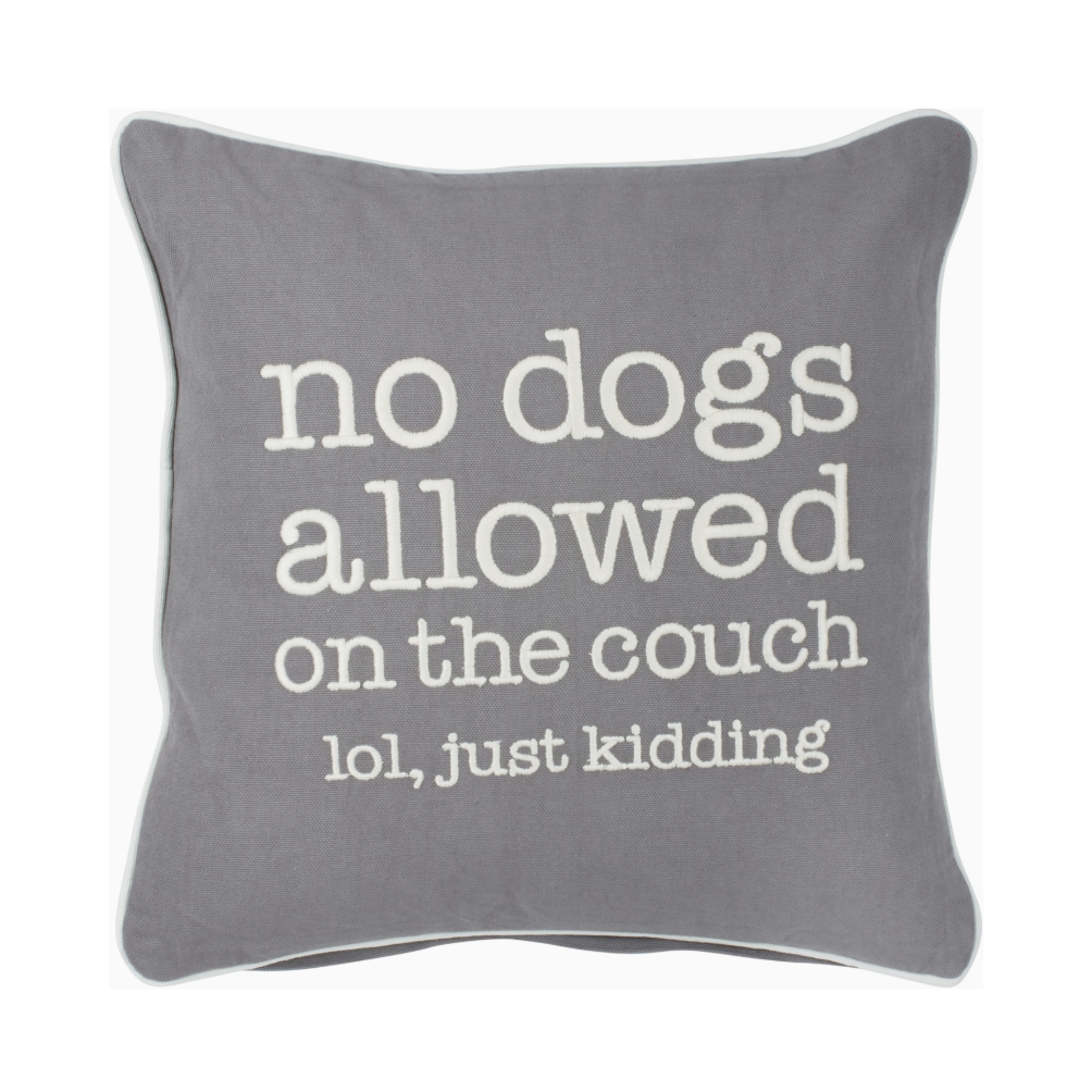 Gray pillow with white text 'no dogs allowed on the couch lol, just kidding' 