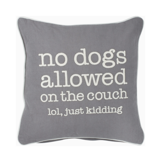 Gray pillow with white text 'no dogs allowed on the couch lol, just kidding' 