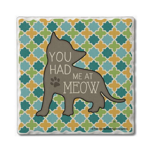 Had Me at Meow Coaster