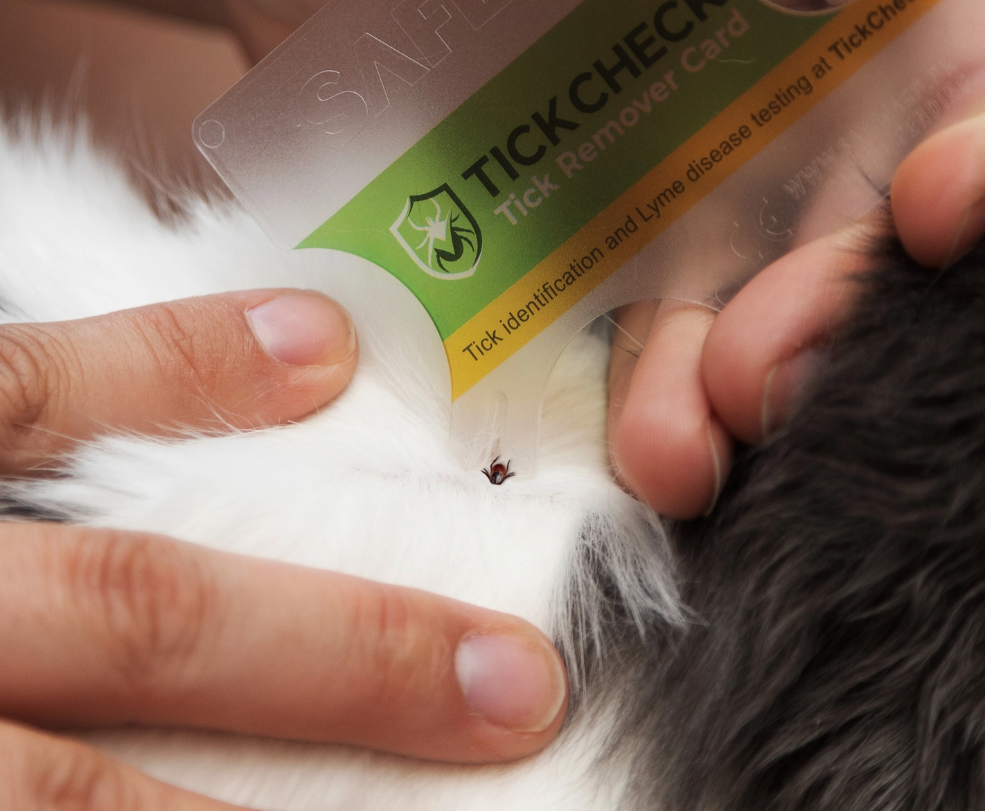 TickCheck Tick Remover Card