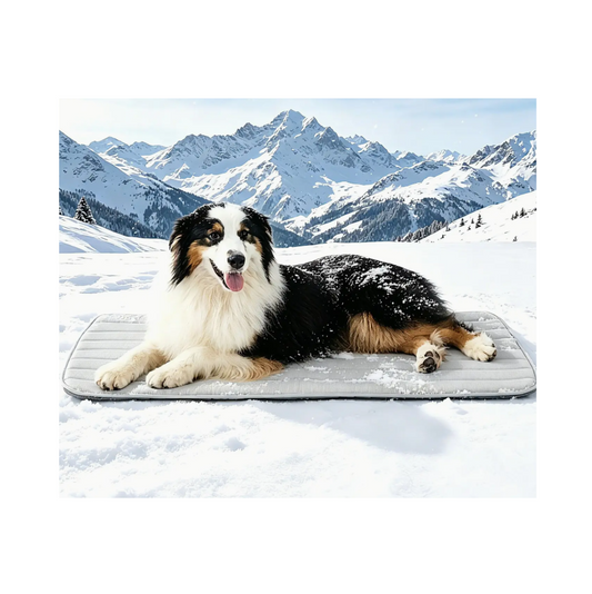 Goopaws Cooling Mat - Gray