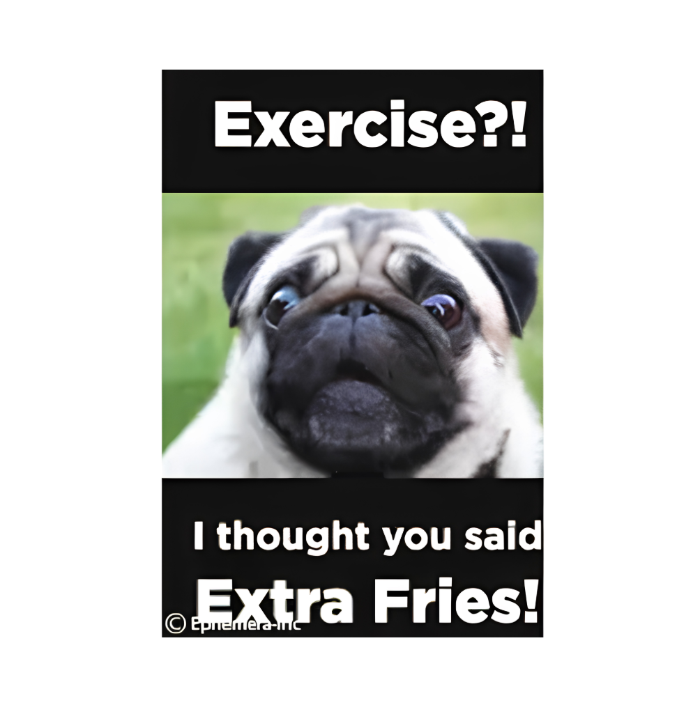 I Thought You Said Extra Fries Magnet