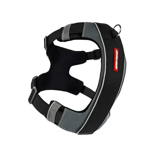 EzyDog X-Link Harness Black