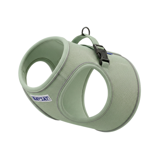 BayCat Harness & Leash Coastal Fern