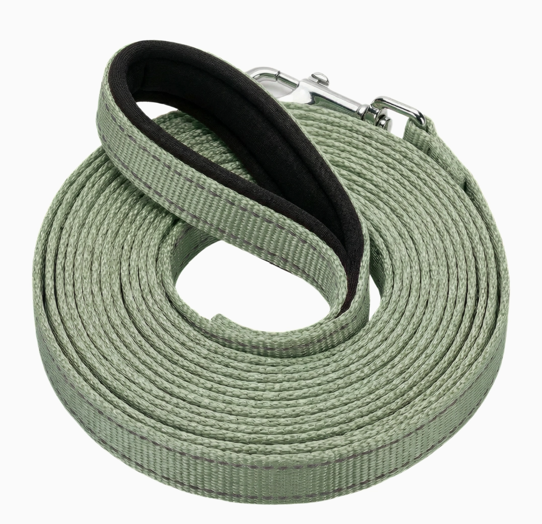 BayCat Harness & Leash Coastal Fern