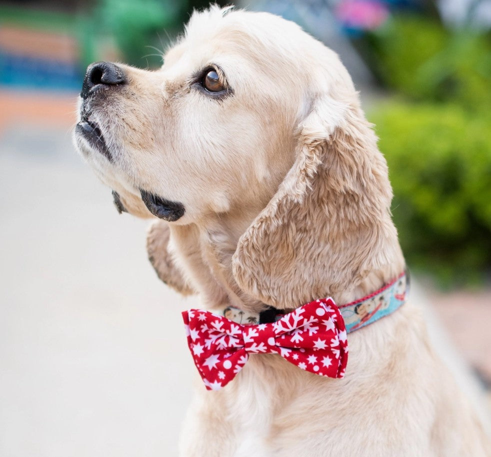 Huxley & Kent Bowtie Snowflake