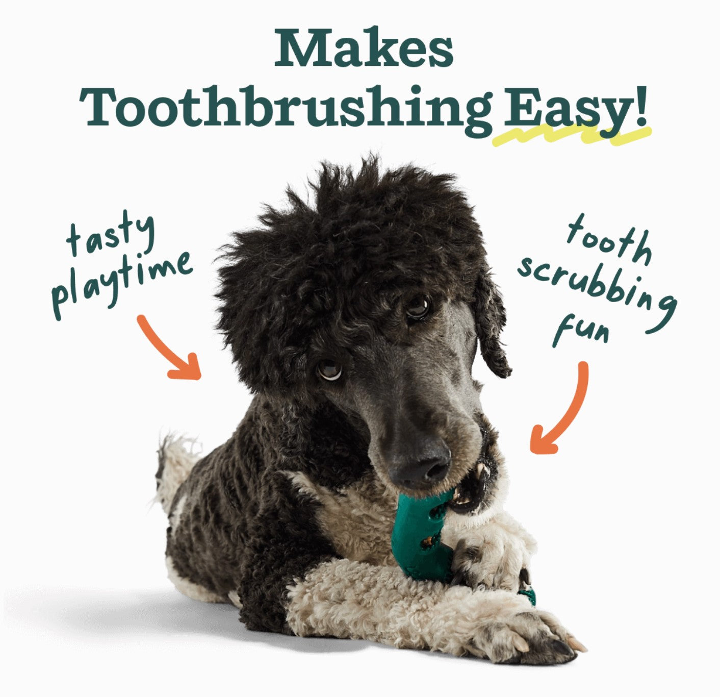 Bite n' Brush by Woof