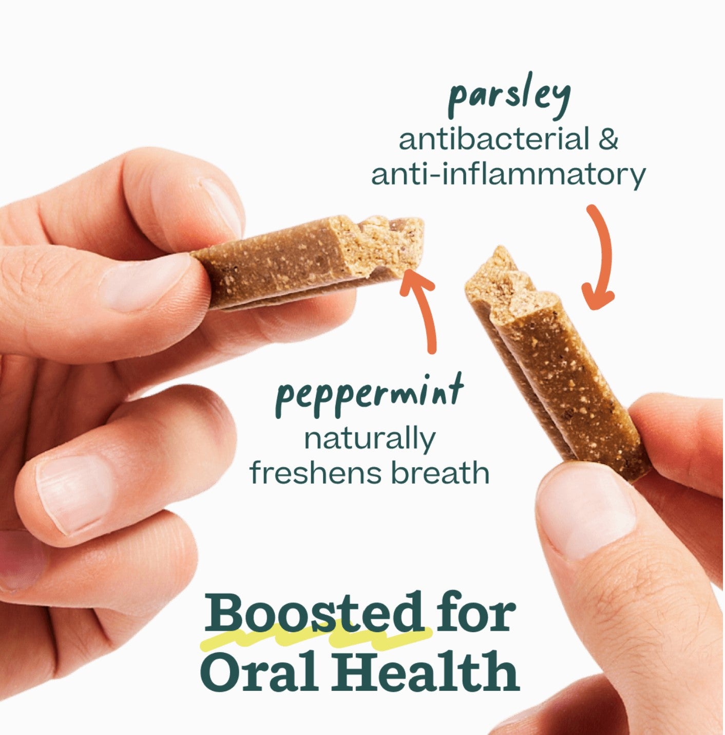 Bite n' Brush Dental Chew Refills 8oz