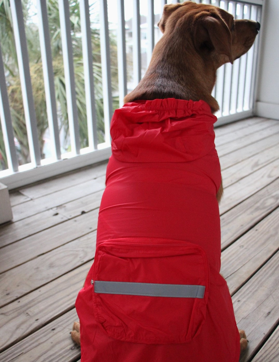 Doggie Design Packable Raincoat Red
