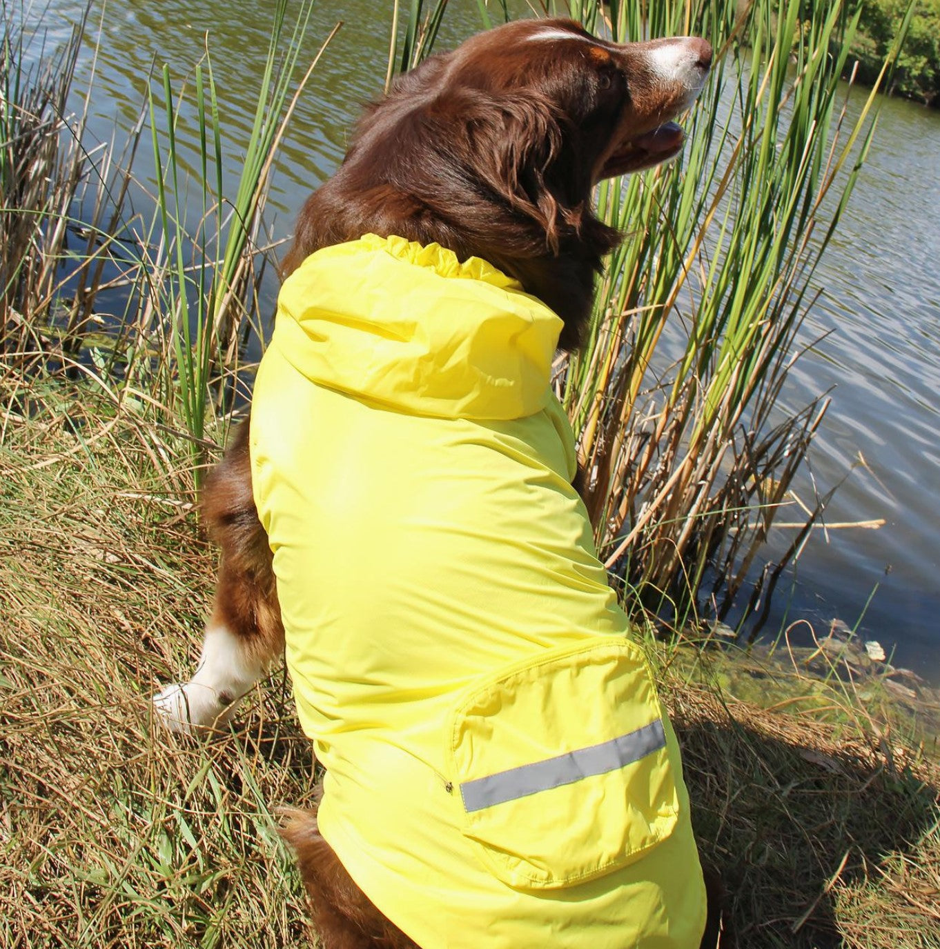 Doggie Design Packable Raincoat Yellow