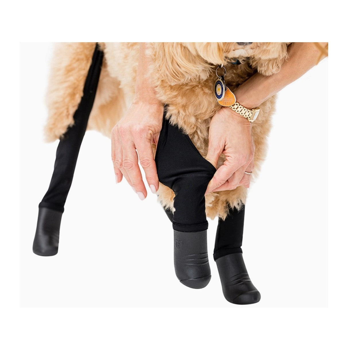 Not Sold Online - Walkee Paws Deluxe - Description Only